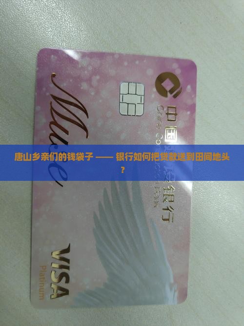 唐山乡亲们的钱袋子 —— 银行如何把贷款送到田间地头？