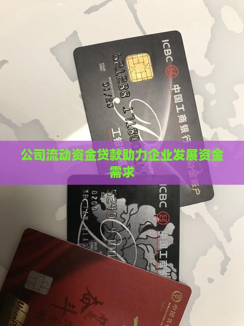 公司流动资金贷款助力企业发展资金需求