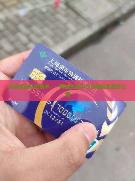 安徽金融信息技术——网络贷款平台金融信息服务公司