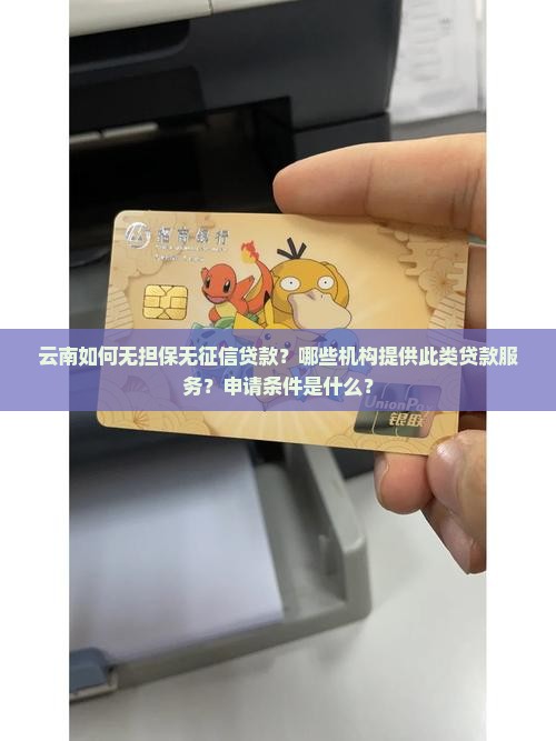 云南如何无担保无征信贷款？哪些机构提供此类贷款服务？申请条件是什么？