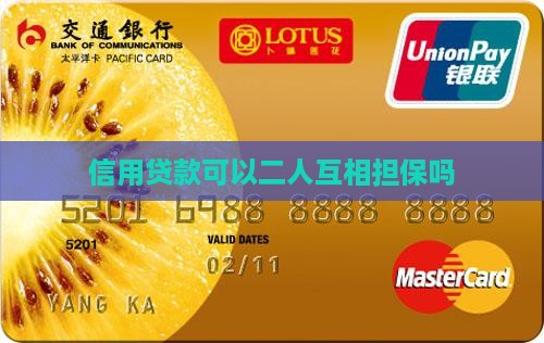 信用贷款可以二人互相担保吗