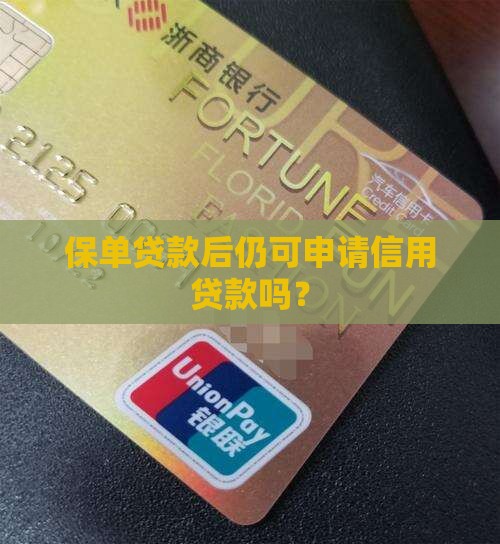 保单贷款后仍可申请信用贷款吗？