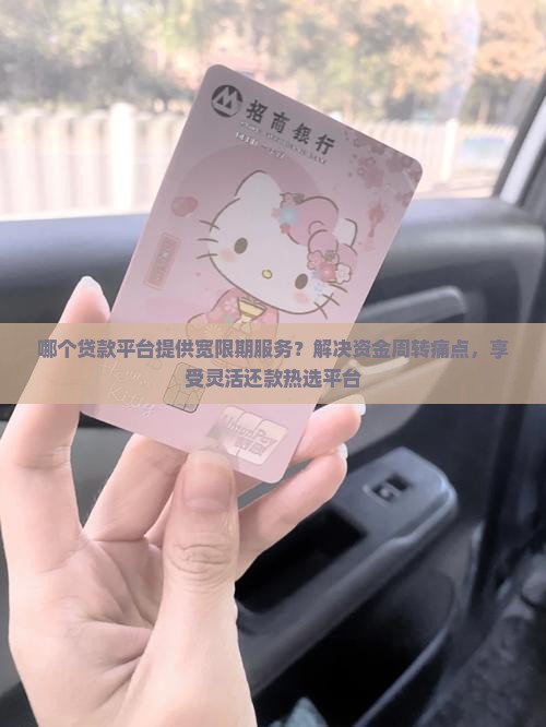 哪个贷款平台提供宽限期服务？解决资金周转痛点，享受灵活还款热选平台