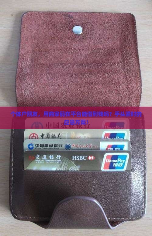 个体户朋友，用商家码在平台能借到钱吗？手头紧时的应急方案！