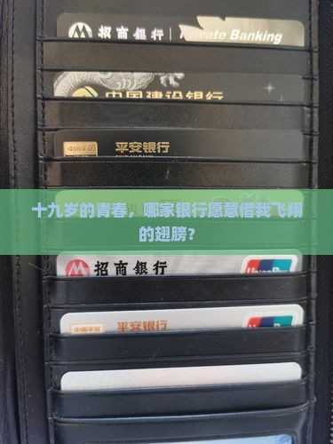 十九岁的青春，哪家银行愿意借我飞翔的翅膀？