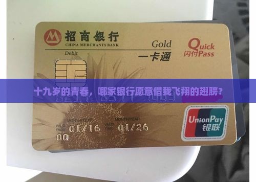 十九岁的青春，哪家银行愿意借我飞翔的翅膀？