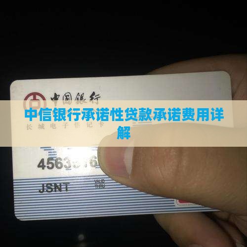 中信银行承诺性贷款承诺费用详解