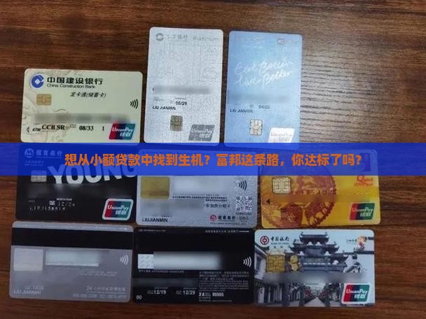想从小额贷款中找到生机？富邦这条路，你达标了吗？