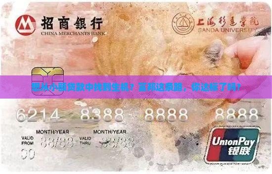 想从小额贷款中找到生机？富邦这条路，你达标了吗？
