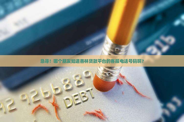 急寻！哪个朋友知道善林贷款平台的客服电话号码啊？