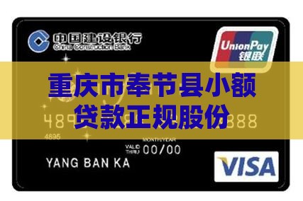 重庆市奉节县小额贷款正规股份