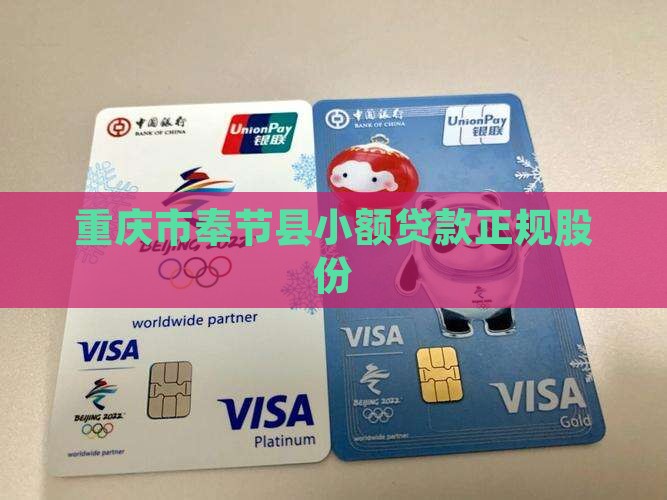 重庆市奉节县小额贷款正规股份