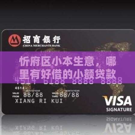 忻府区小本生意，哪里有好借的小额贷款？