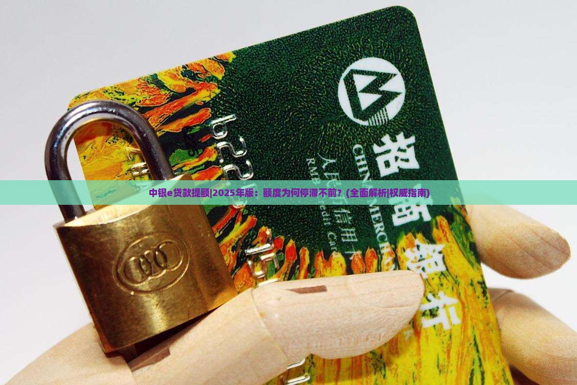 中银e贷款提额