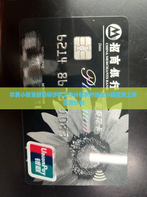 农民小额贷款任务目标