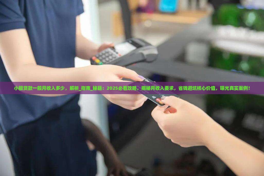 小额贷款一般月收入多少