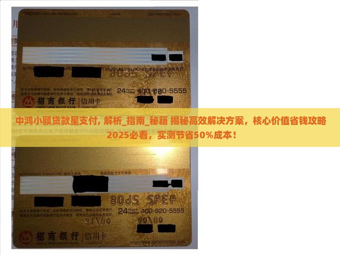 中鸿小额贷款星支付