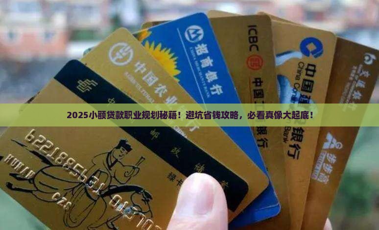 小额贷款职业规化