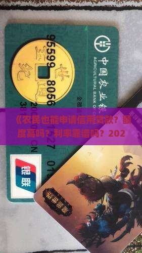 农民也有信用贷款吗