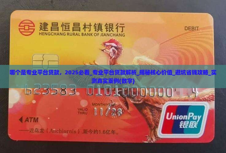 哪个是专业平台贷款