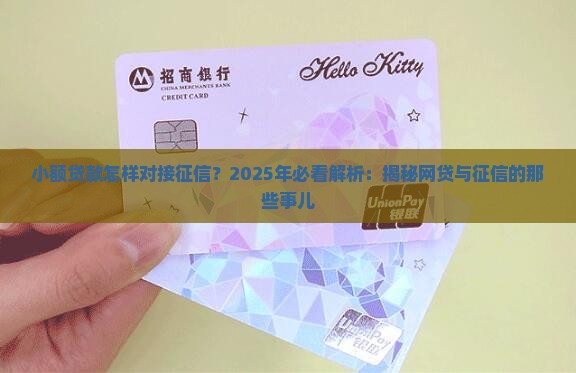 小额贷款怎样对接征信