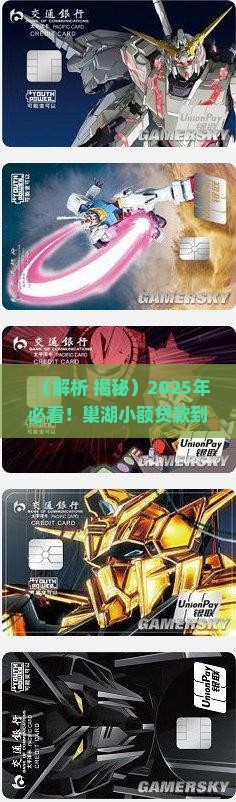 巢湖小额贷款案例分析