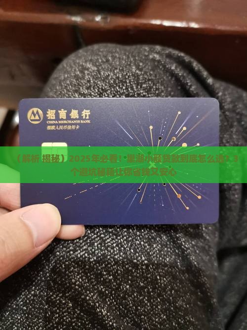 巢湖小额贷款案例分析