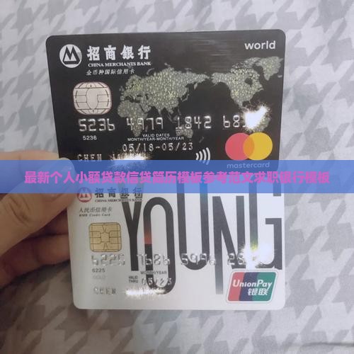 小额贷款从业简历