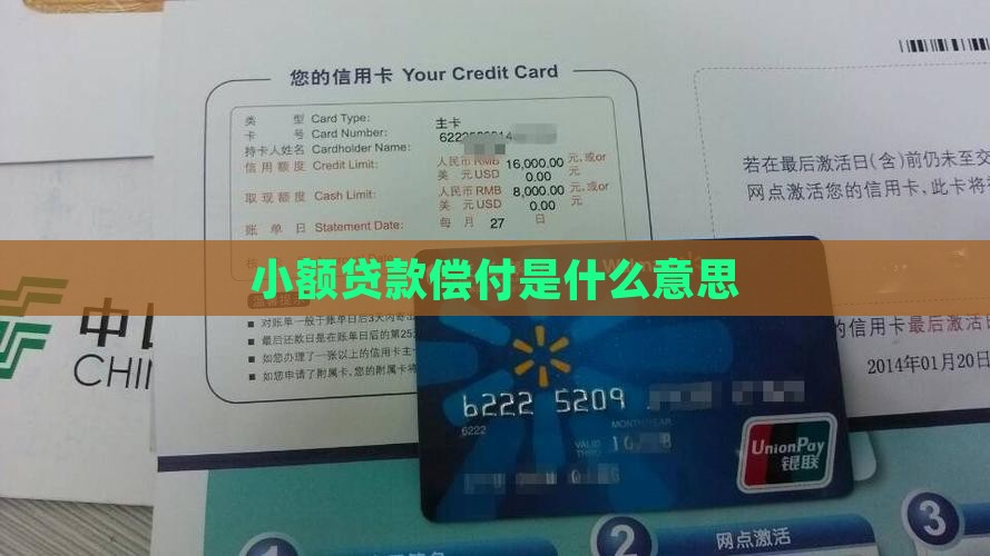 小额贷款偿付什么意思啊