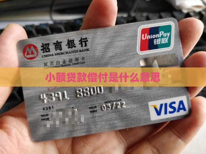 小额贷款偿付什么意思啊