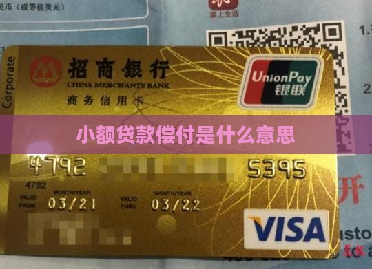 小额贷款偿付什么意思啊
