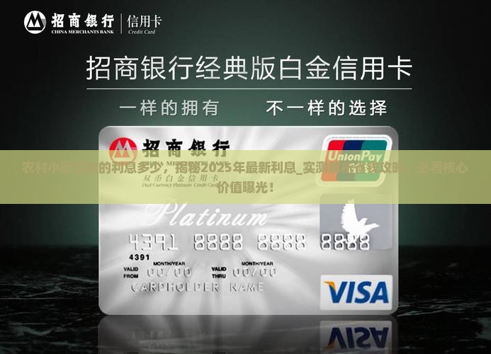 农村小额贷款的利息多少