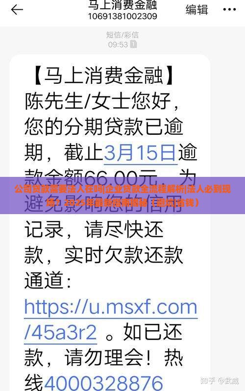 公司贷款需要法人在吗