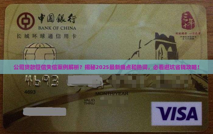 公司贷款征信失信案例