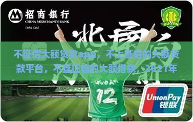 不征信大额贷款app