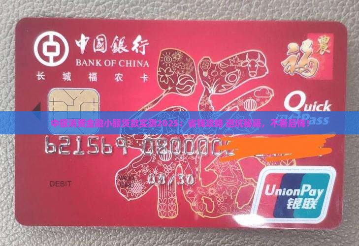 中银消费金融小额贷款