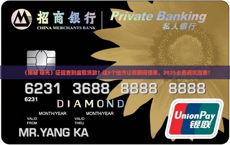 征信查到虚假贷款