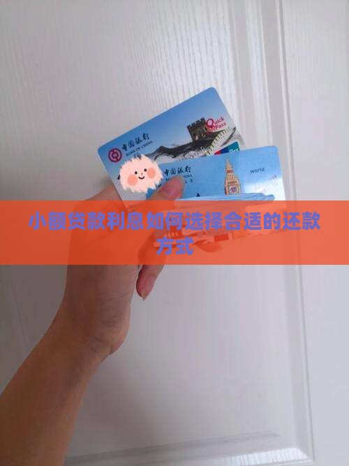 小额贷款咋还利息