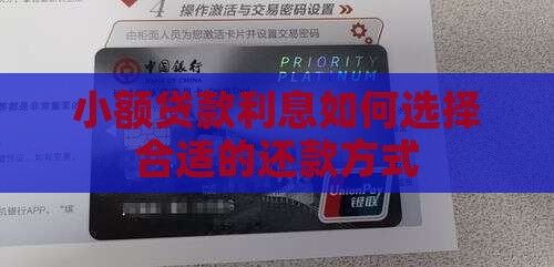 小额贷款咋还利息