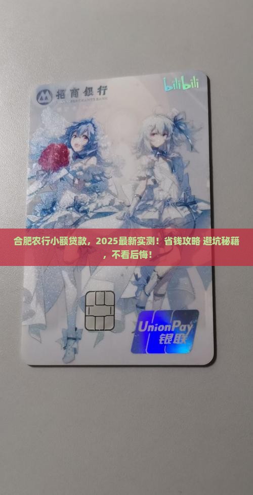 合肥农行小额贷款