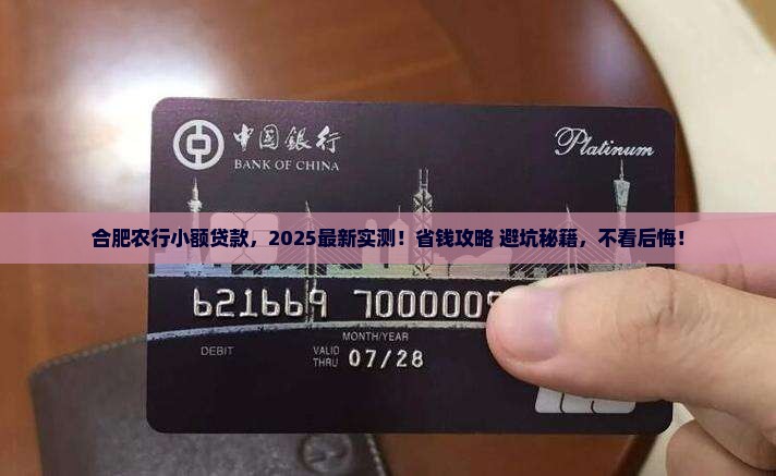 合肥农行小额贷款