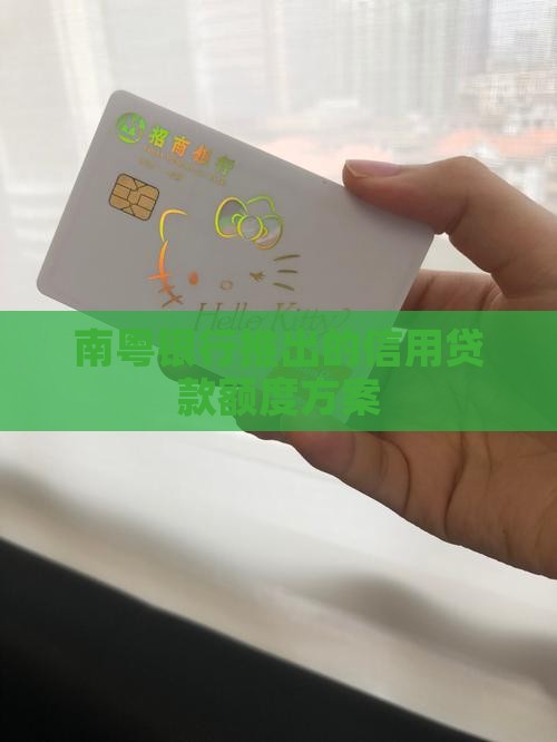 南粤银行信用贷款额度