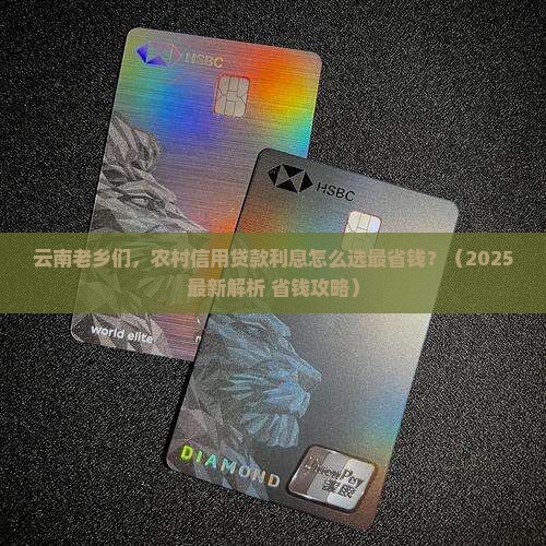 云南省农村信用贷款利息