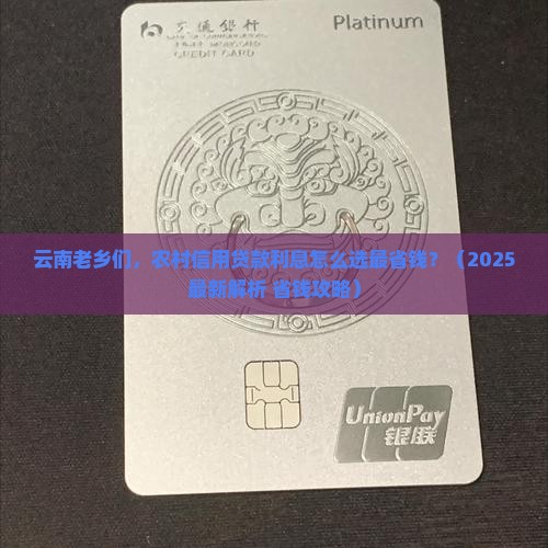 云南省农村信用贷款利息