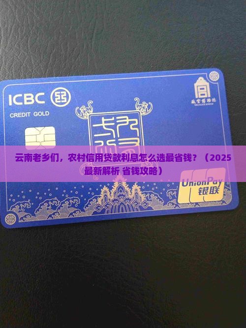 云南省农村信用贷款利息