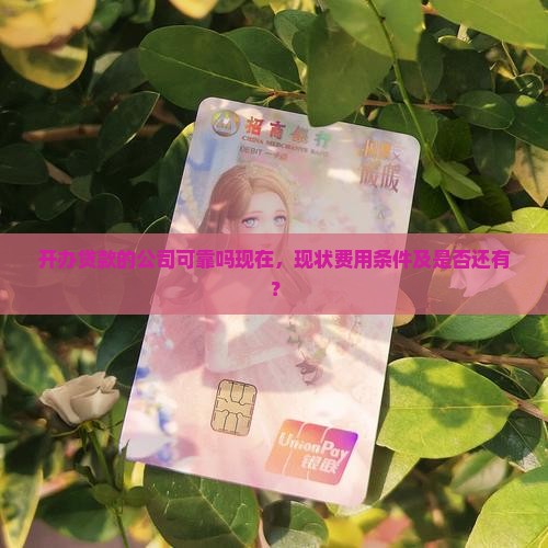 开办贷款的公司可靠吗现在