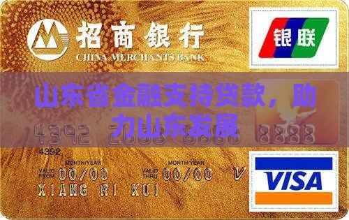 山东省为促进小额贷款