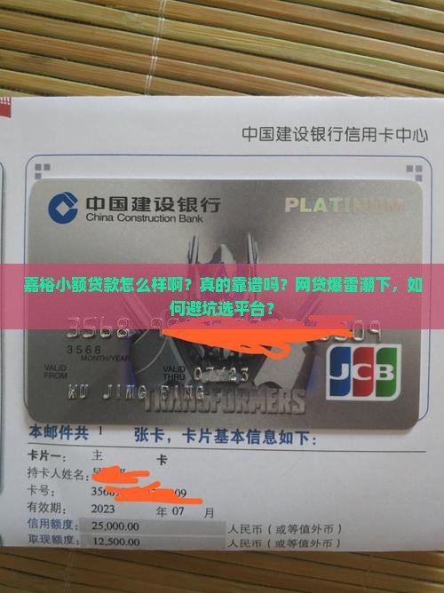 嘉裕小额贷款怎么样啊
