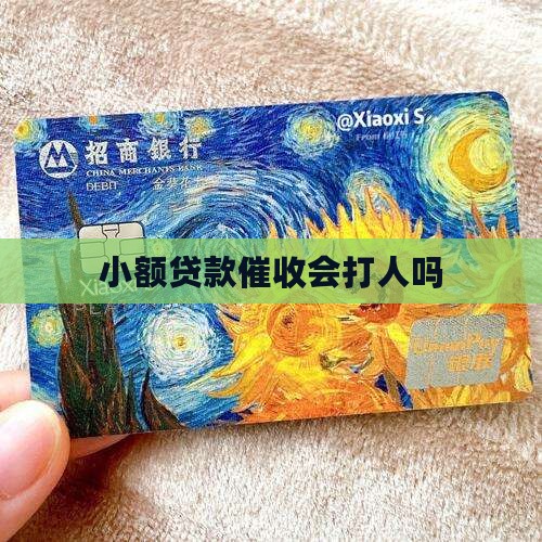 小额贷款会打人吗