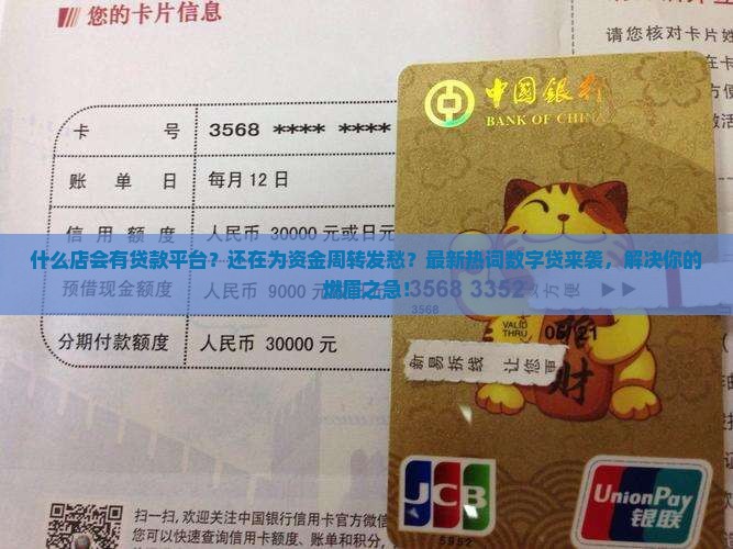 什么店会有贷款平台